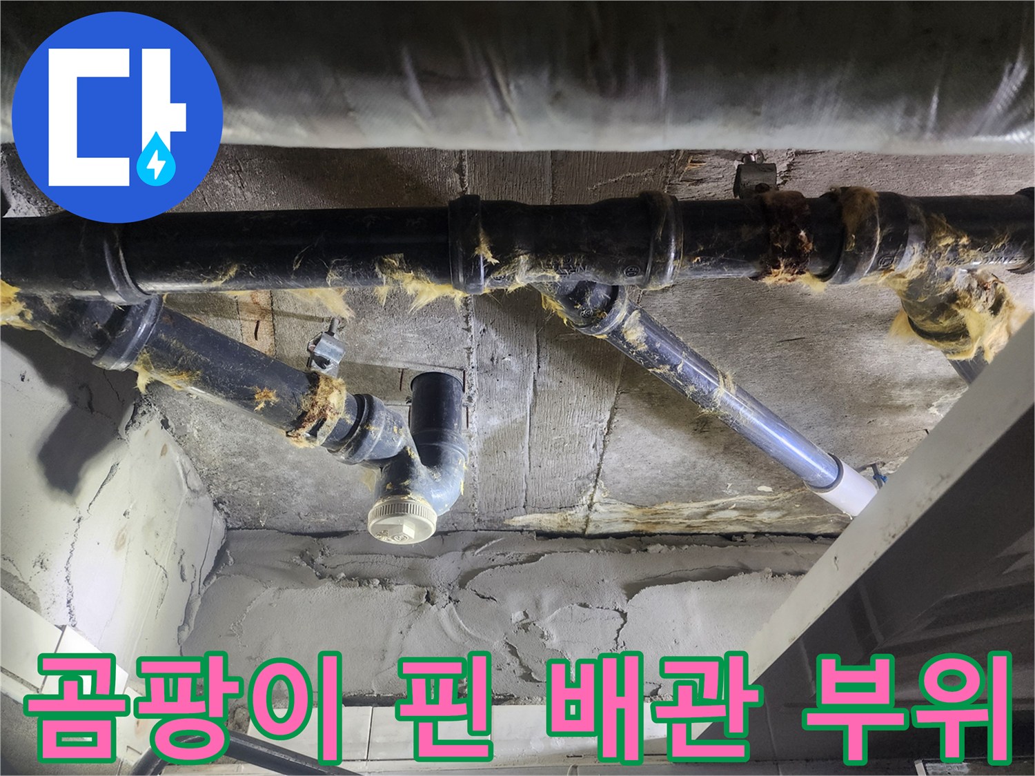 배관-연결부-주변의-습기와-곰팡이-흔적