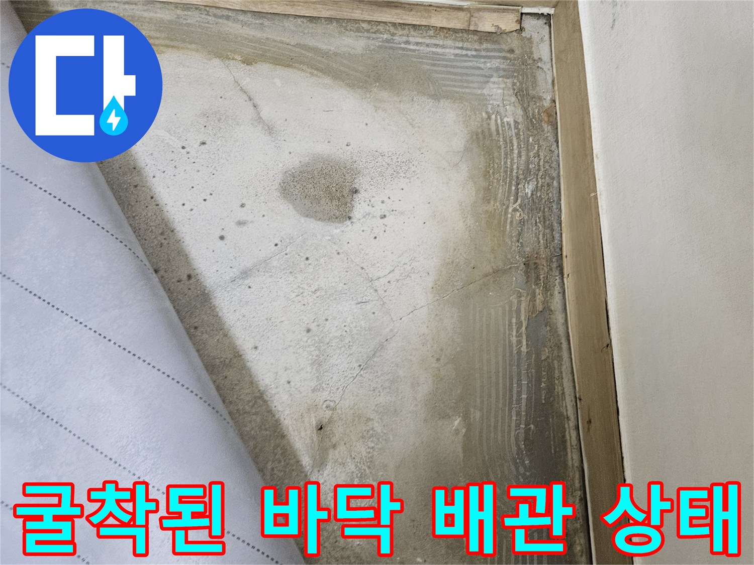 배관 누수 지점 - 파손된 배관과 젖은 바닥 토양