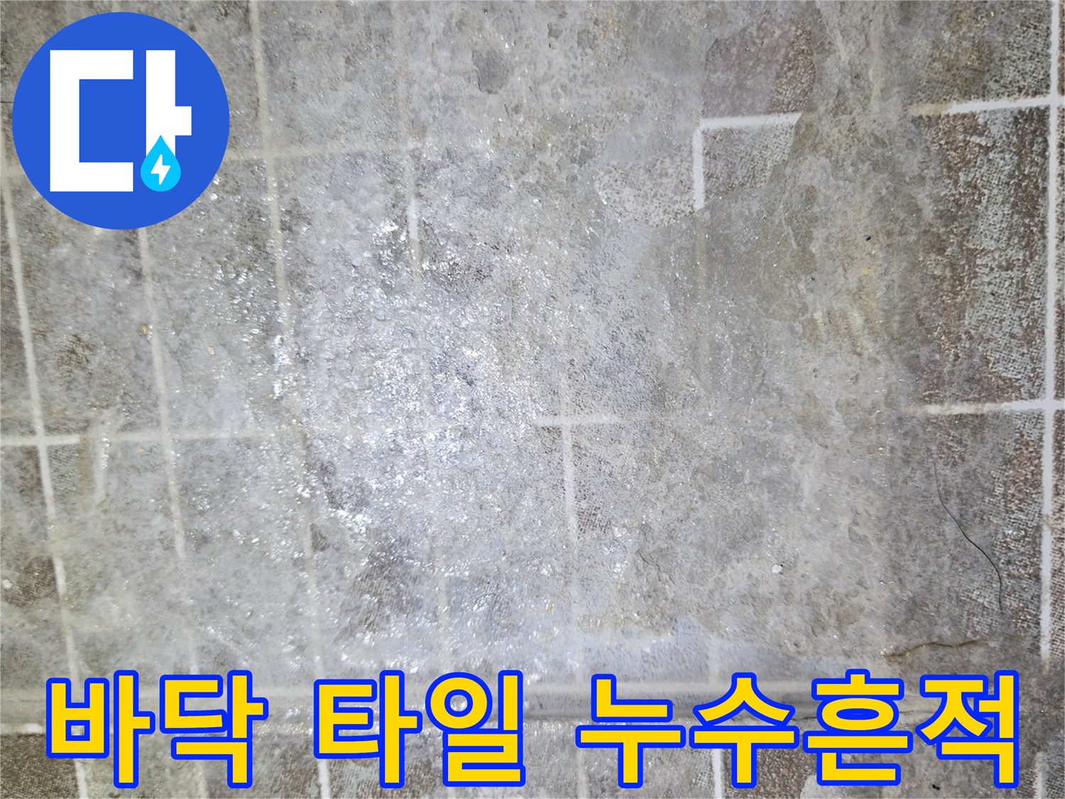 석회물이 올라온-타일 표면의 하얀 얼룩