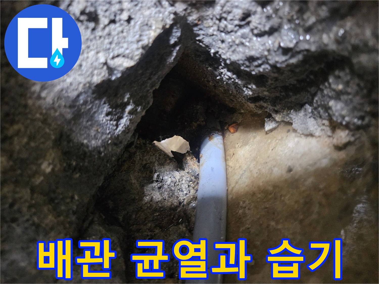 진안동 누수 현장-균열된 배관과 젖은 흙