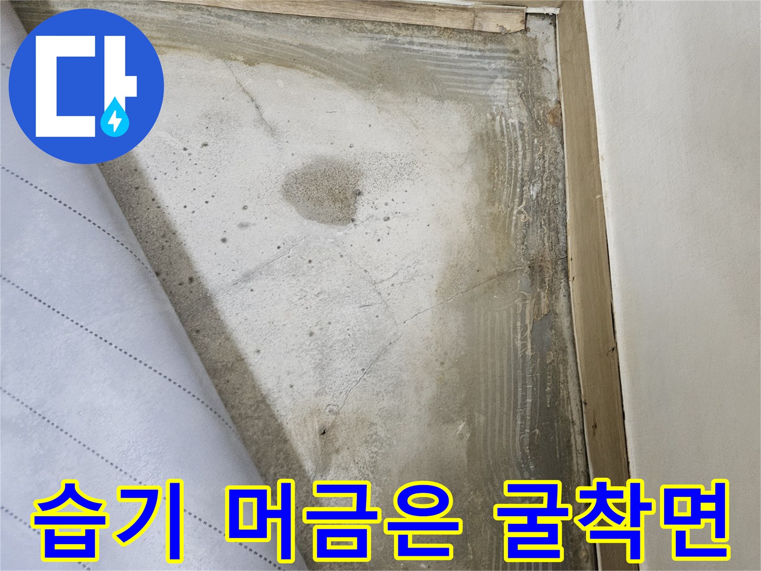 진안동 작업현장-누수로 인해 젖어있는 바닥 내부 콘크리트