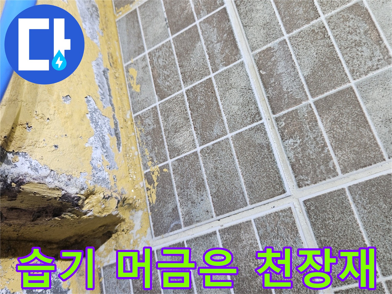 천장 타일 표면에 나타난 습기와 얼룩 현상