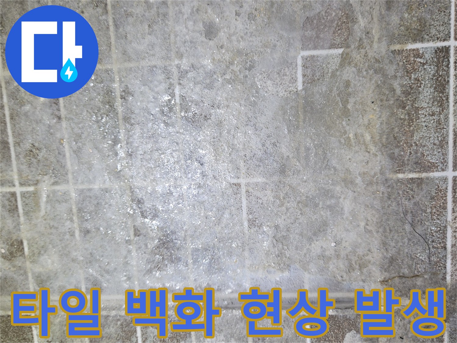 화성-병점 현장-타일 사이 하얀 가루가 올라온 상태