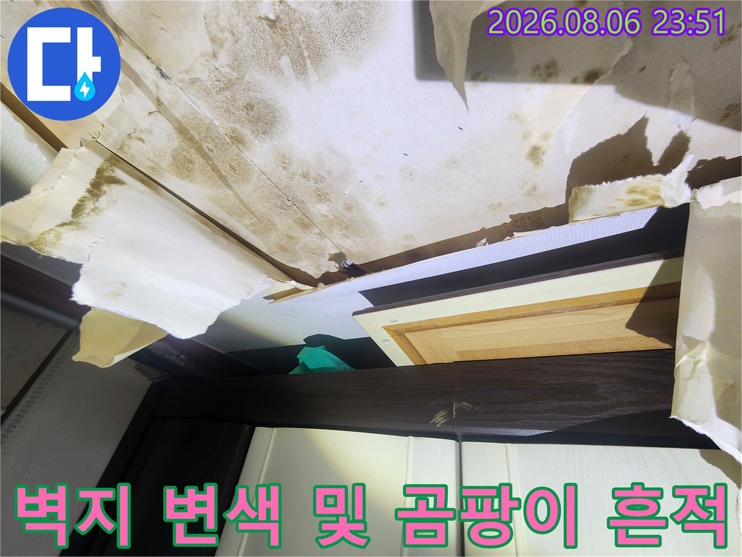 누수로 인한 천장 벽지의 갈색 얼룩과 곰팡이