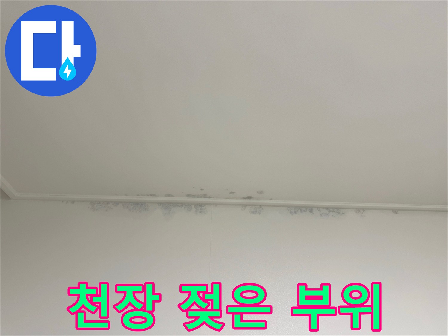 천장 가장자리의 젖은 얼룩과 곰팡이