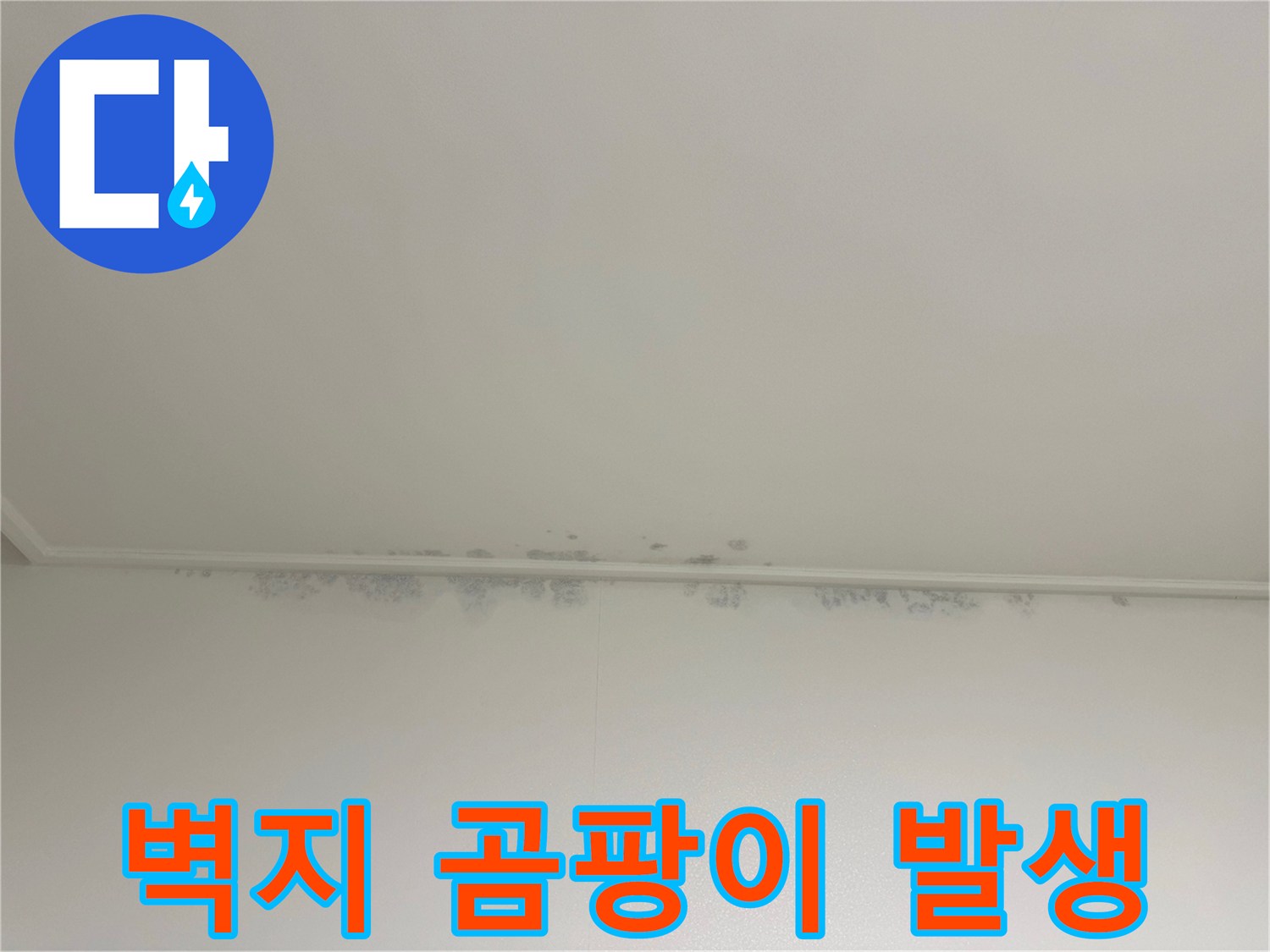 천장 구석의 습기로 인한 곰팡이 번식