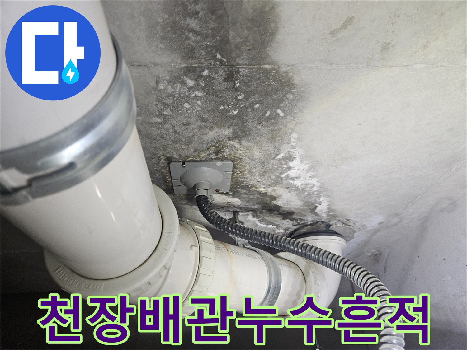 곰팡이와 물자국이 있는 천장 배관 부위