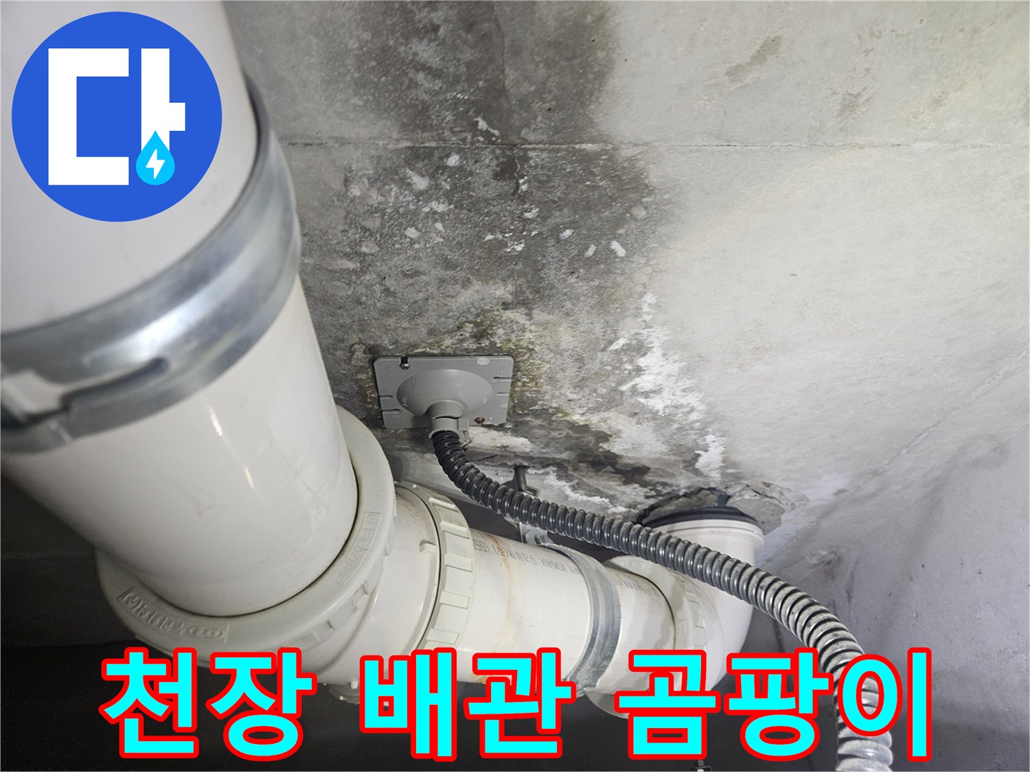 누수로-오염된-천장-슬라브와-배관-연결부위