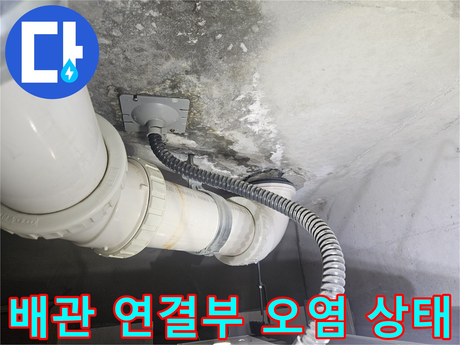 덕양구 현장-천장 배관 하단에 발생한 물자국과 곰팡이