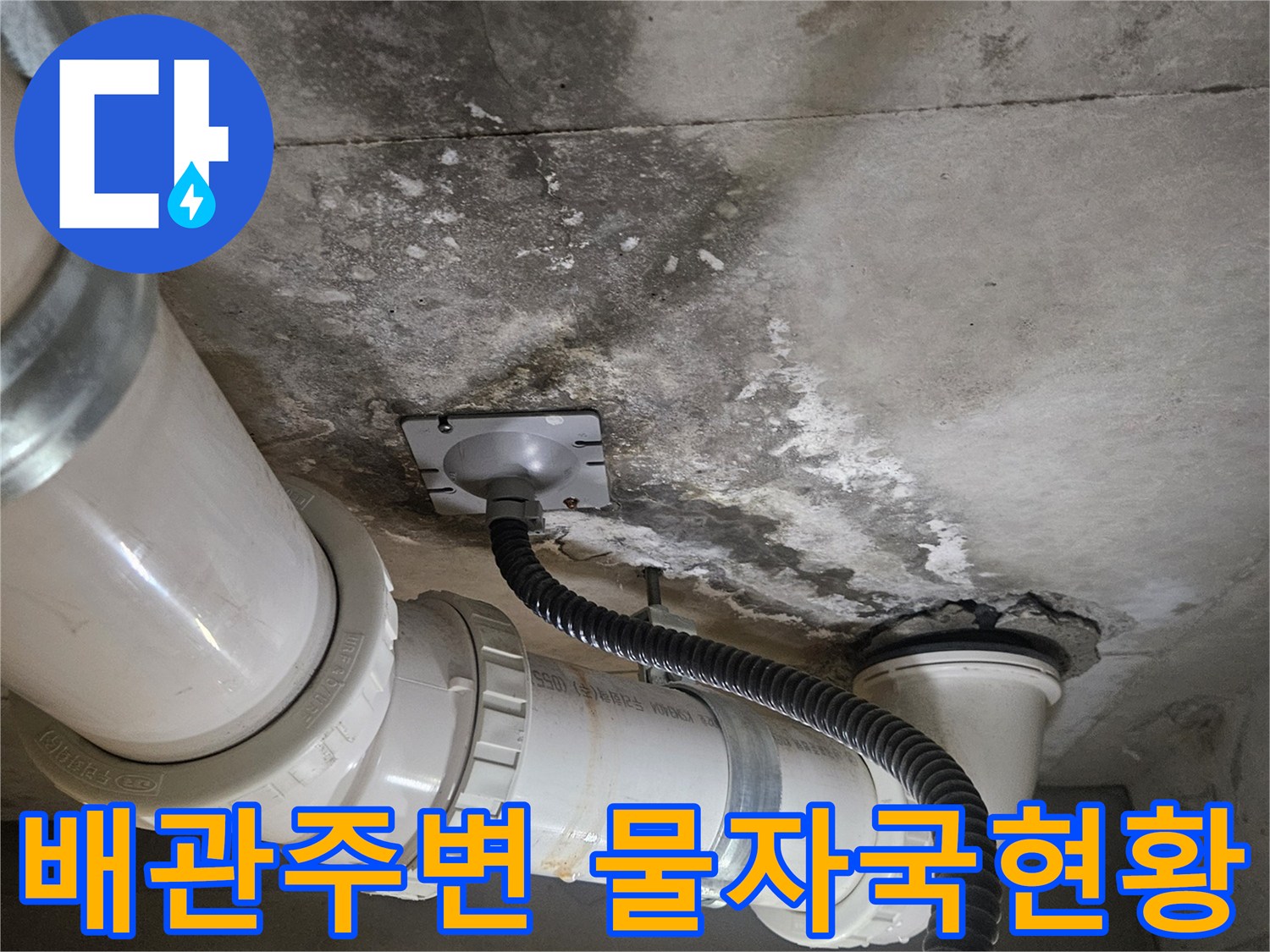 덕양구-화장실-천장-배관-연결부의-물샘-흔적