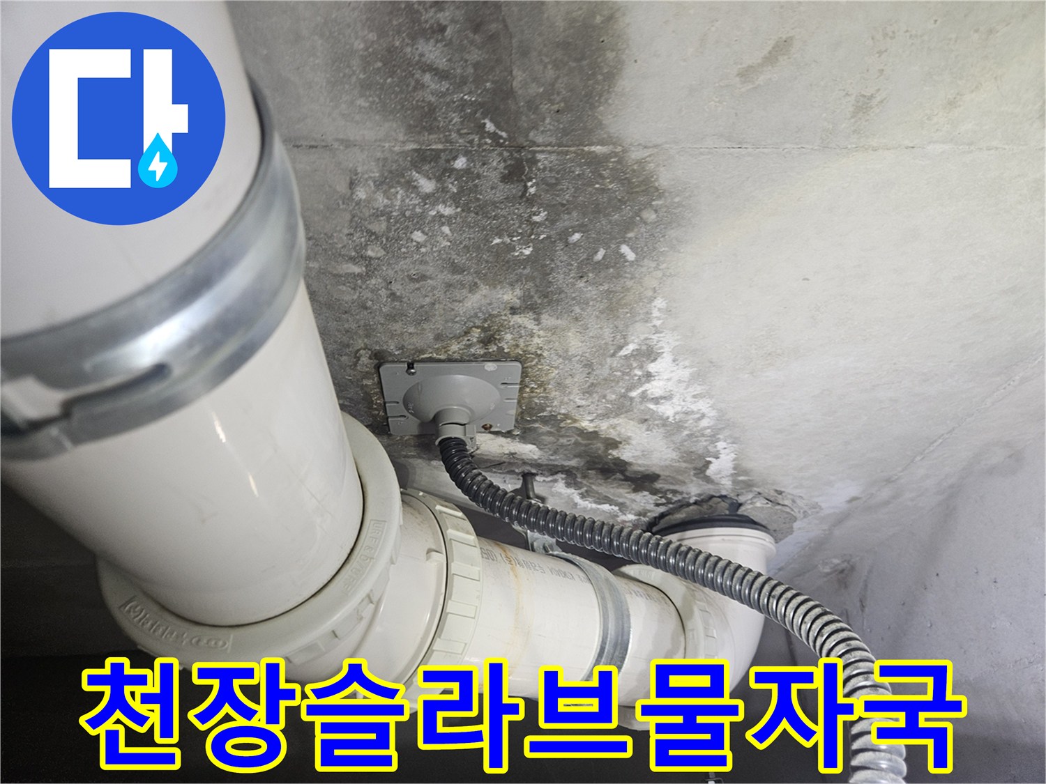 배관-연결부위-주변의-젖은-콘크리트-및-곰팡이