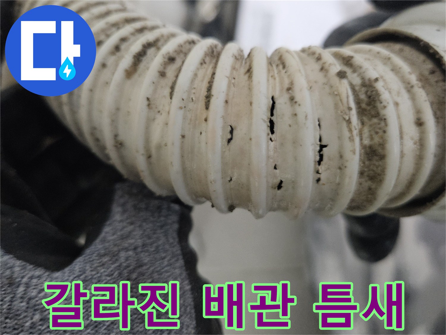 찢어진-부위가-포착된-배수-배관