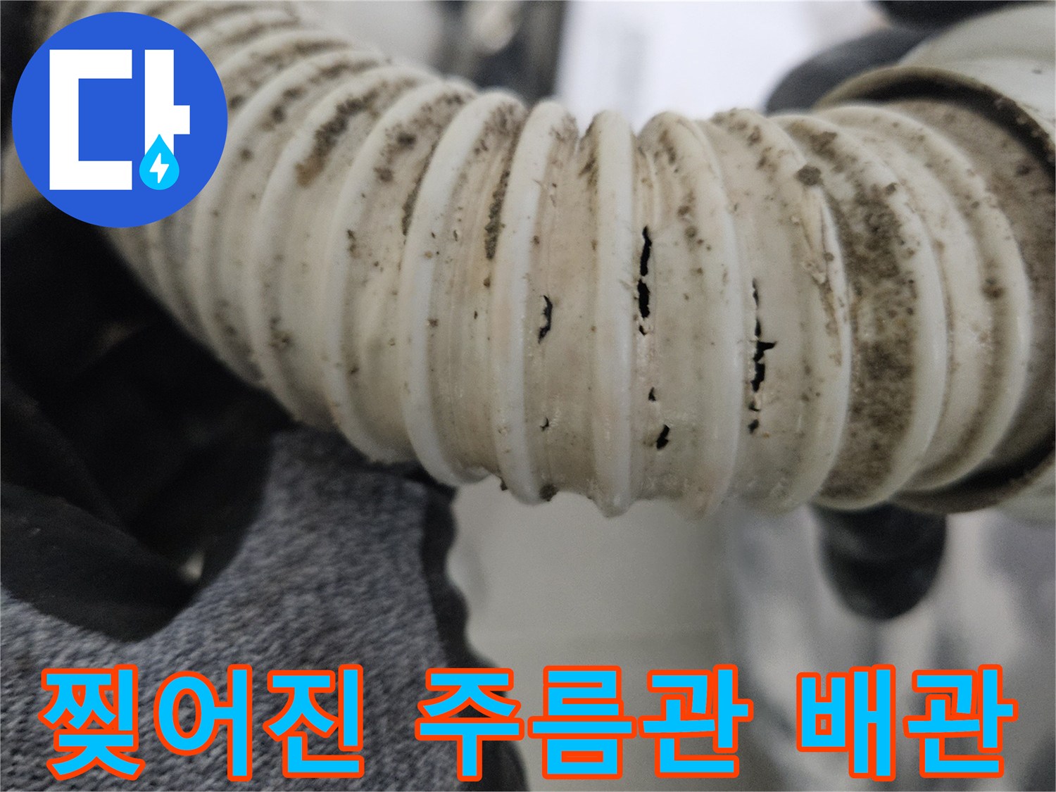 화장실-배수 호스에 발생한 균열과 오염 상태