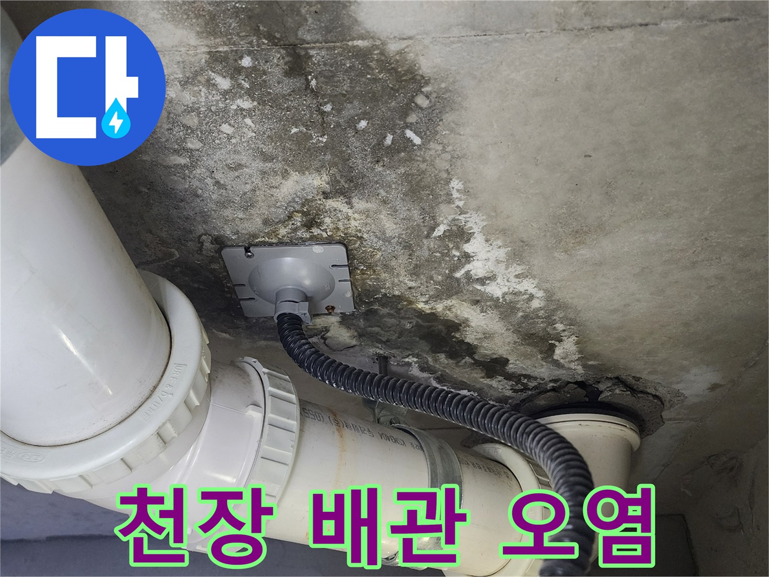화장실 천장 슬라브의 배관 주변 곰팡이와 습기 흔적
