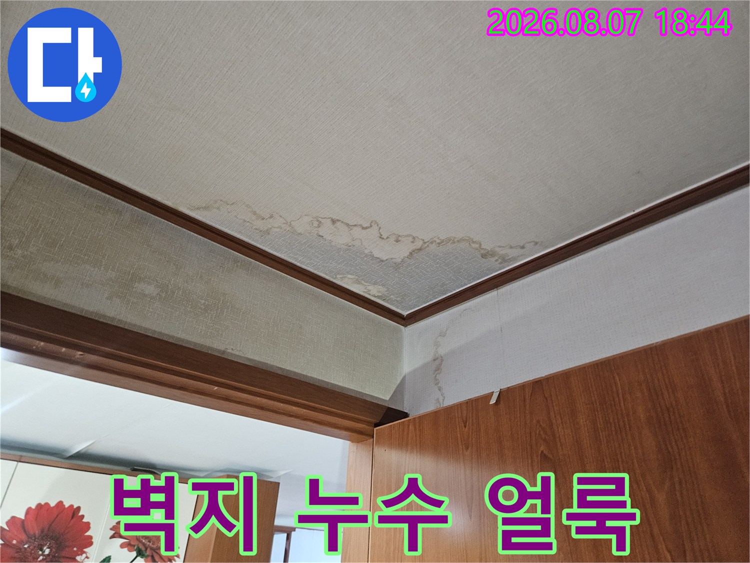 아파트-벽지와-바닥재에-번진-누수-얼룩-상태