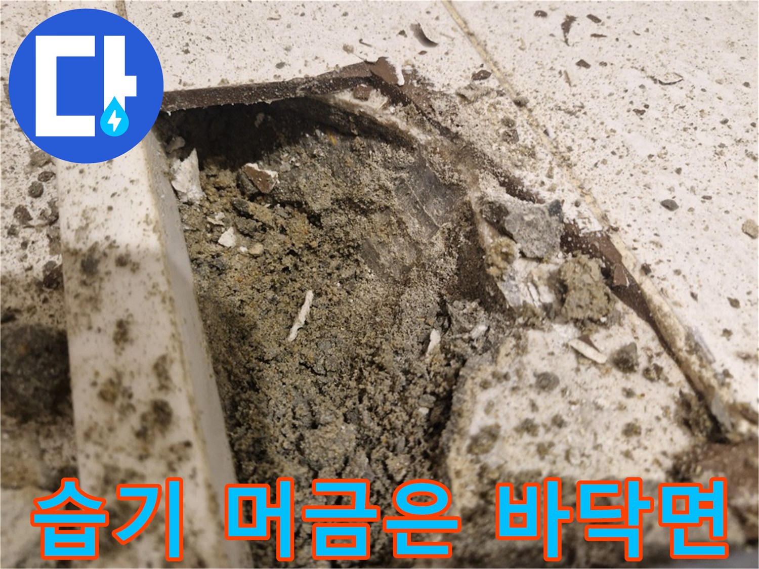 타일 탈거 후-습기가 침투한 바닥 기초부