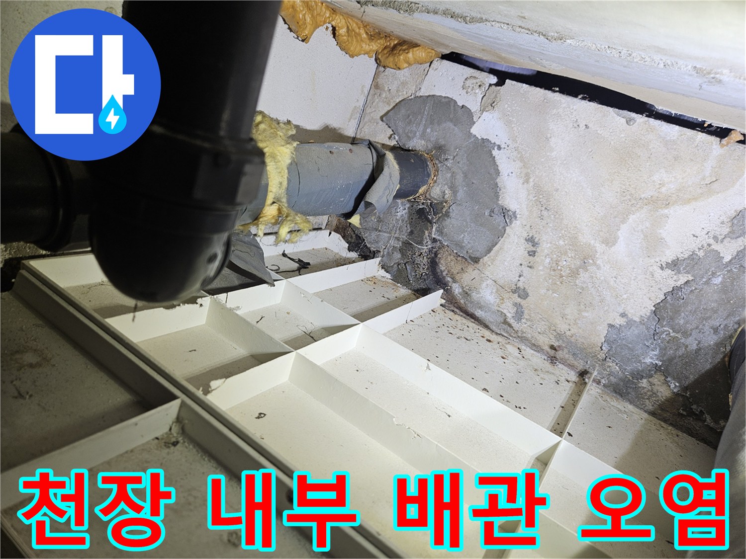 배관-주변의-젖은-벽면과-곰팡이-흔적