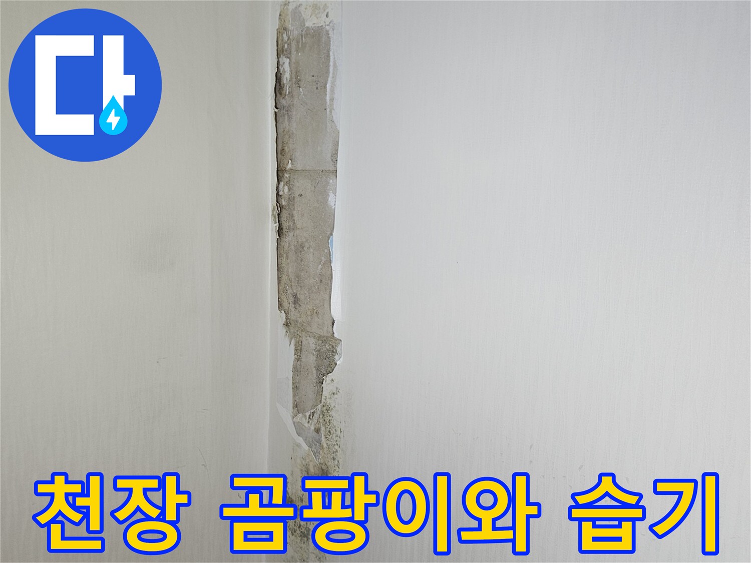 습기로 인해 부식되고 곰팡이가 생긴 천장 모서리