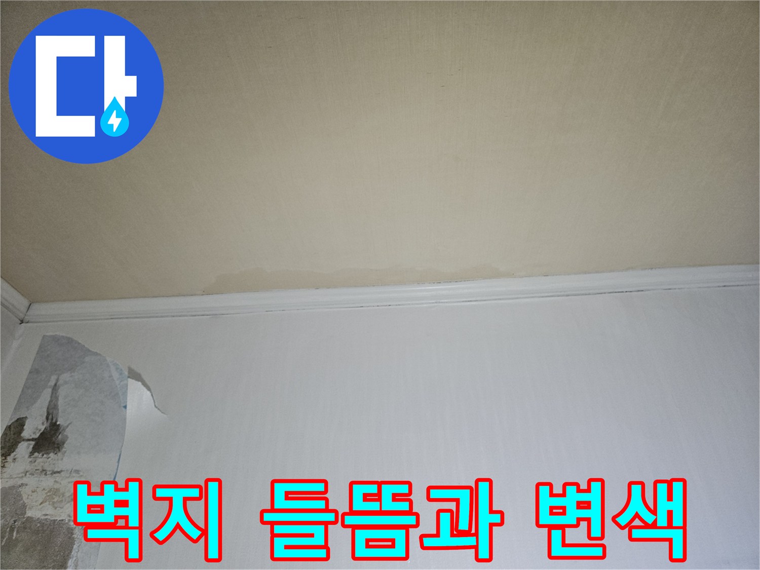 일산 백석동 아파트 내부 벽지 들뜸 현상