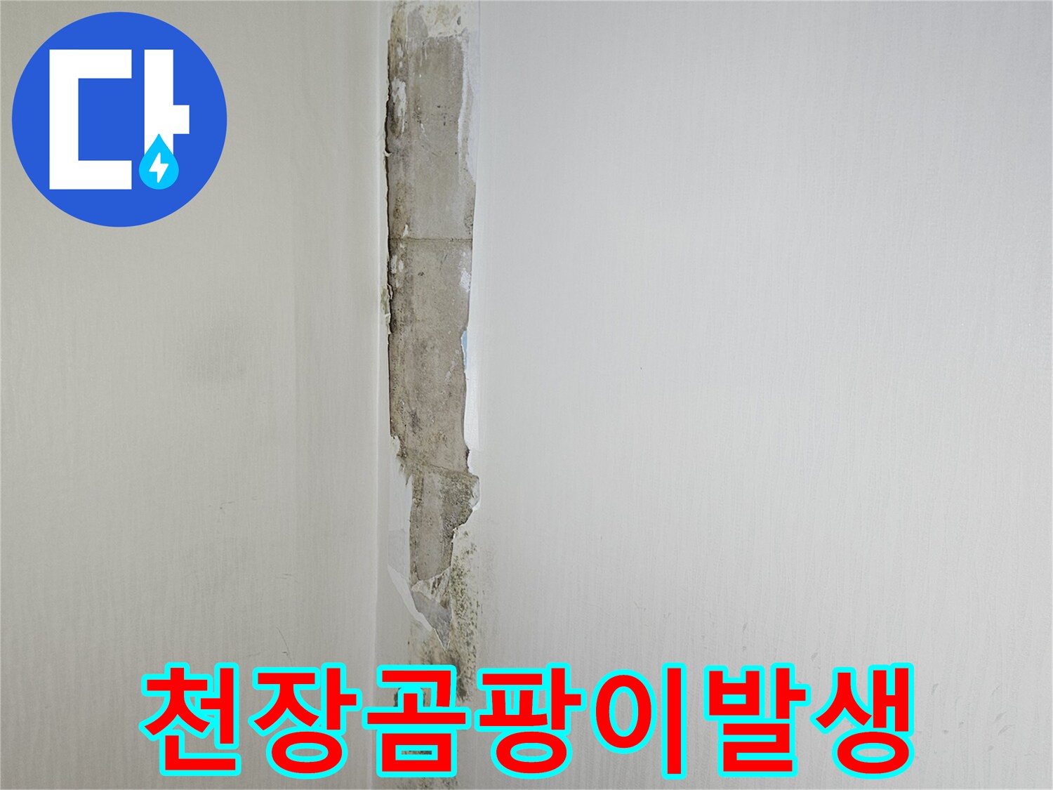 천장-벽면-경계의-심한-곰팡이-오염
