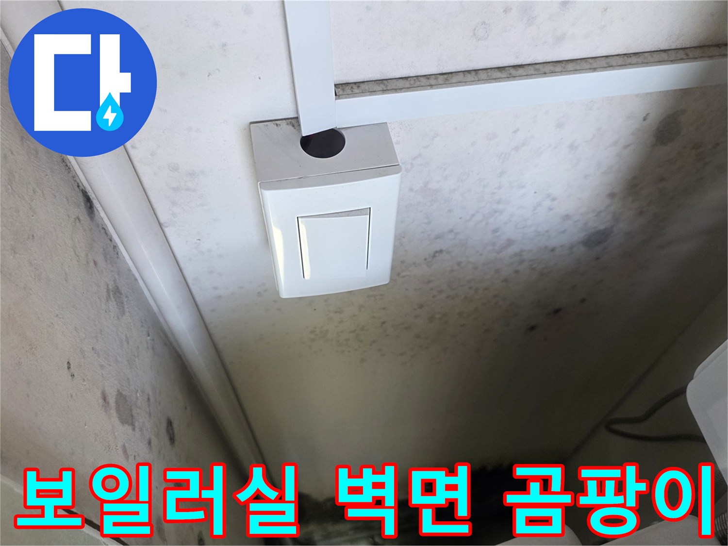보일러실-벽면-및-천장-곰팡이-상태