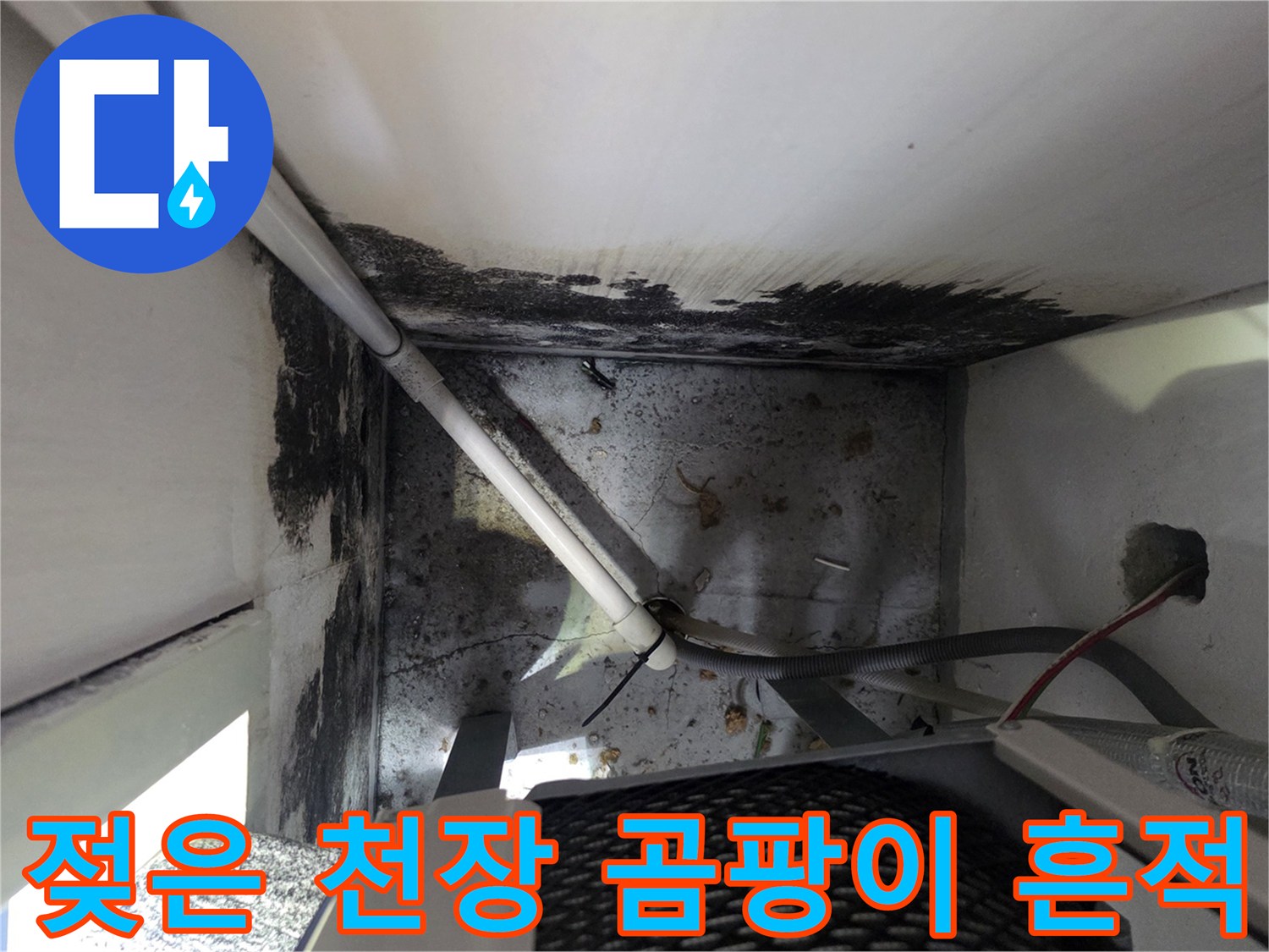 보일러실 천장과-배관 주변의 심한 곰팡이 오염 상태