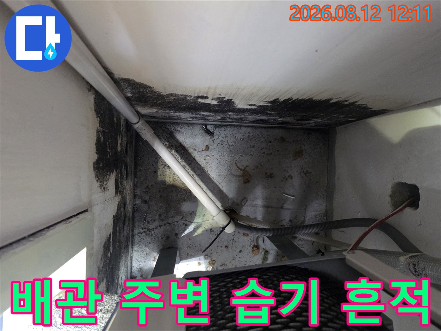 흰색 배관-주변 벽면의 검은 곰팡이 오염