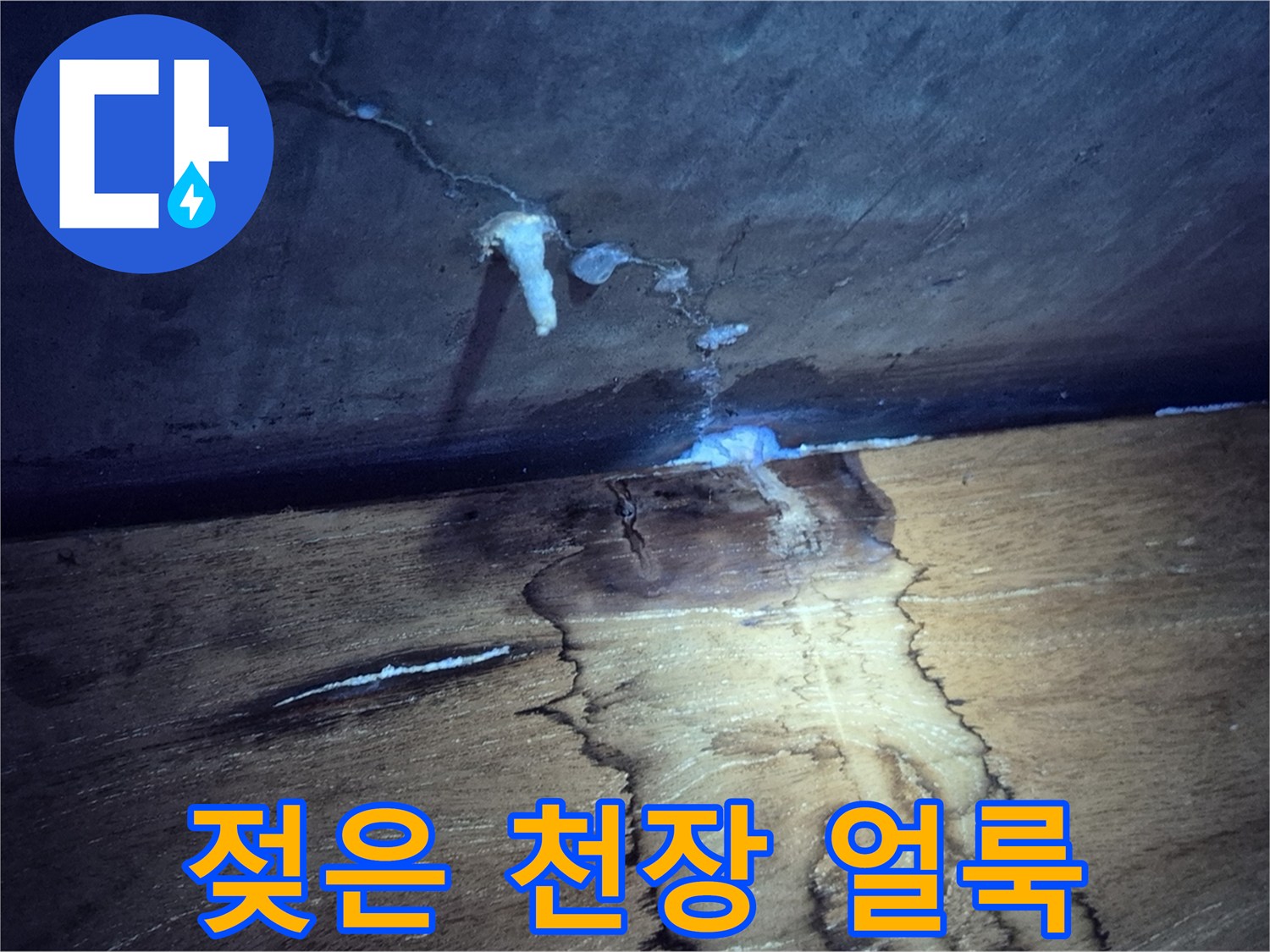 아랫집-천장에-발생한-습기와-물자국-현황