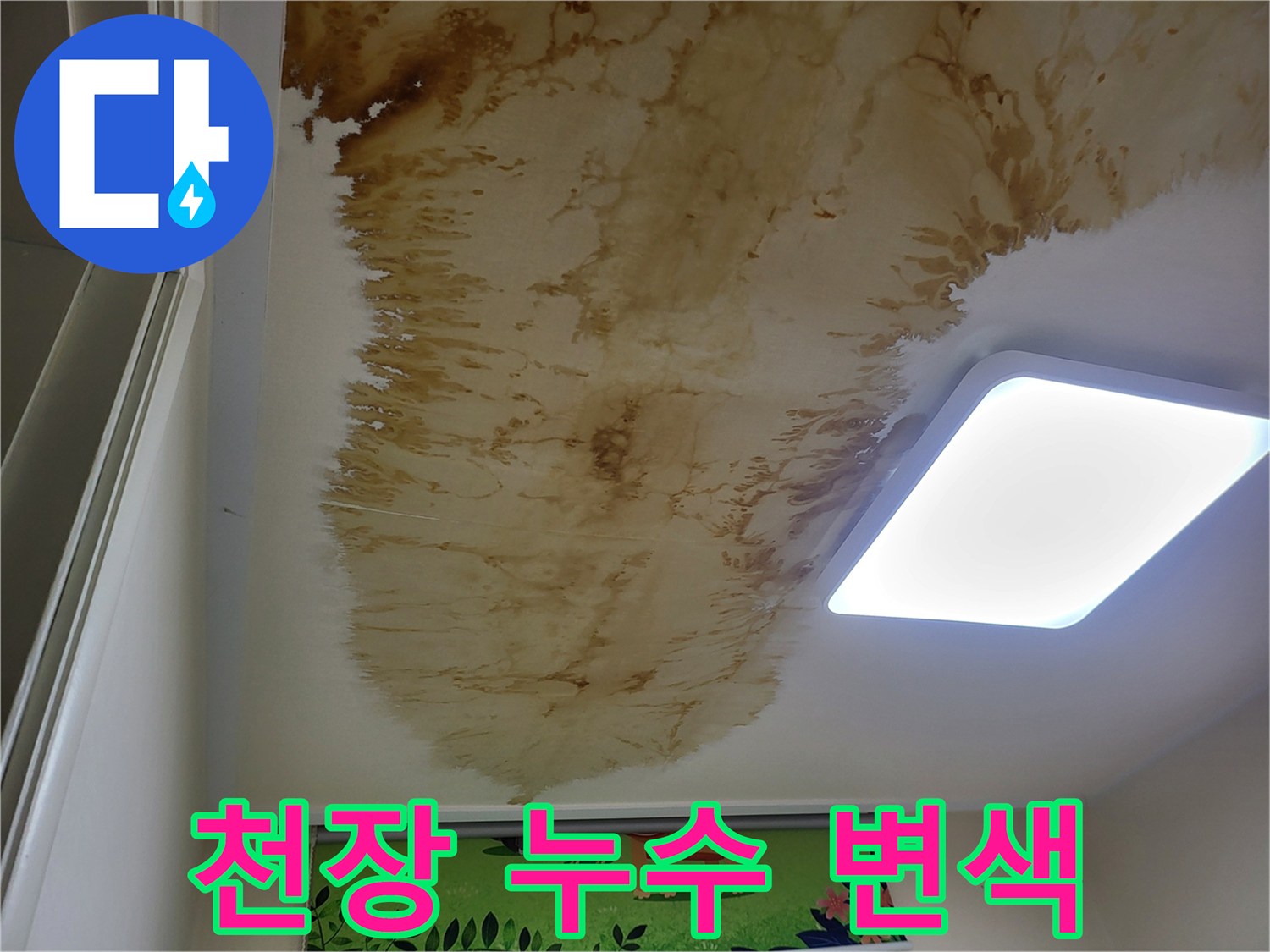 아파트-천장-누수-피해-범위-촬영
