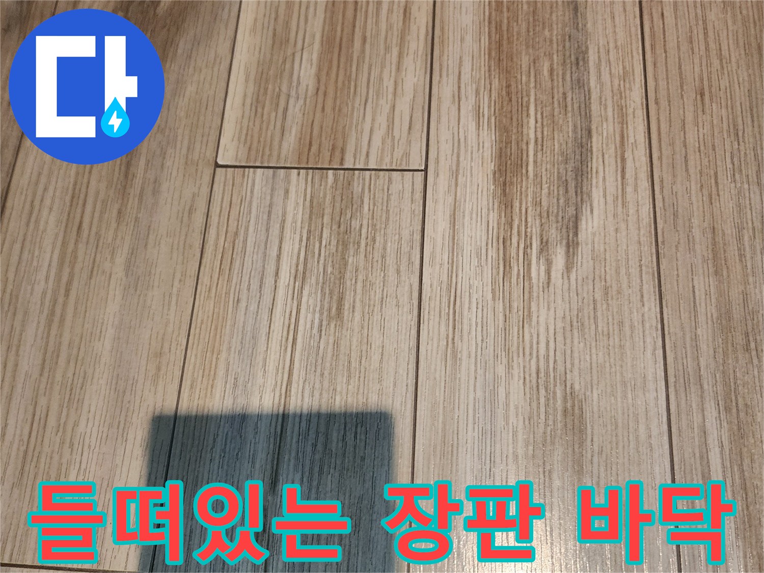 안산 부곡동 현관 입구의 들뜬 장판 모습입니다.