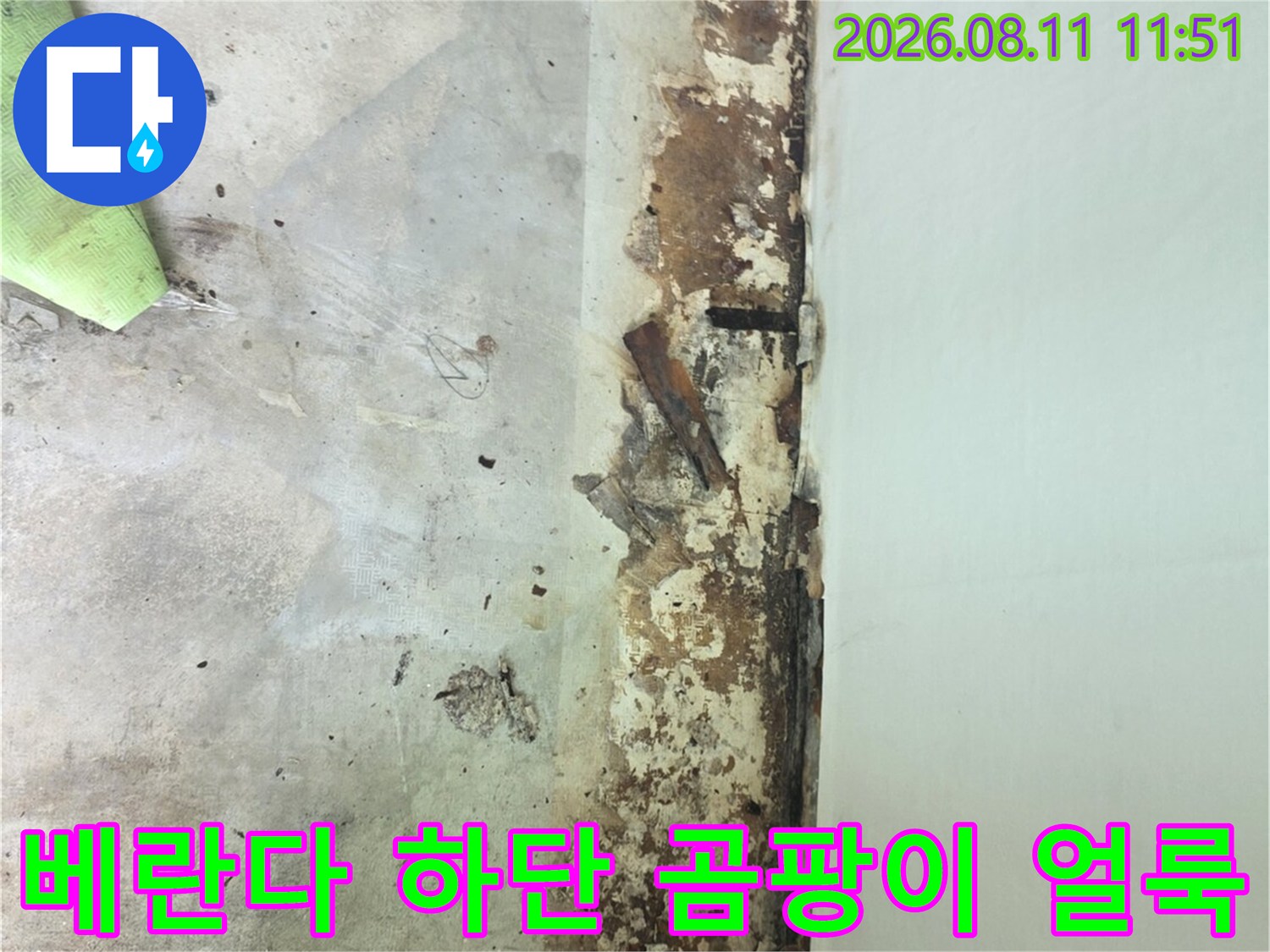 정자동 현장 베란다 벽면의 심한 곰팡이와 페인트 탈락 상태