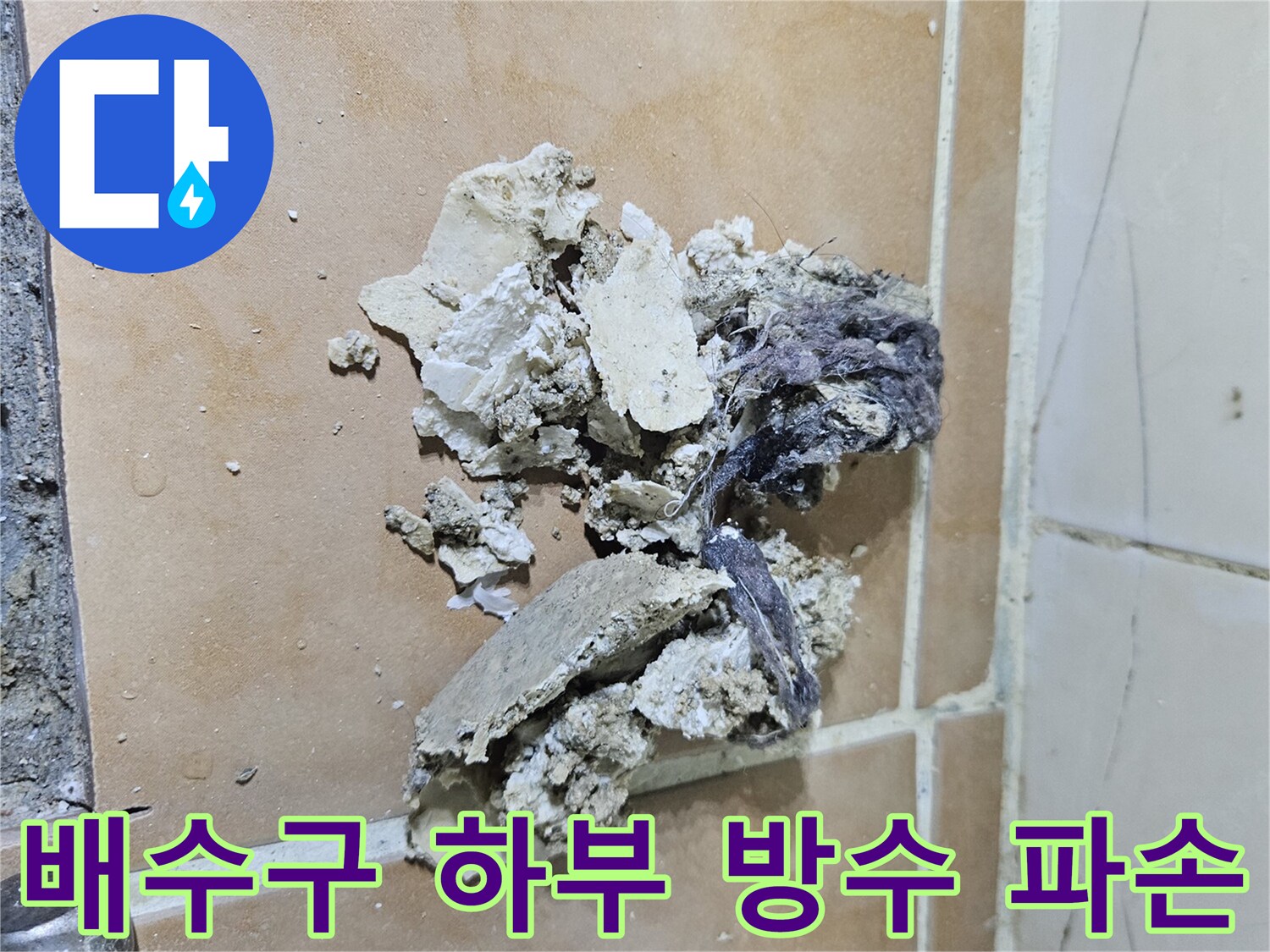 고양-일산-배수구-주변-방수층-결함-확인