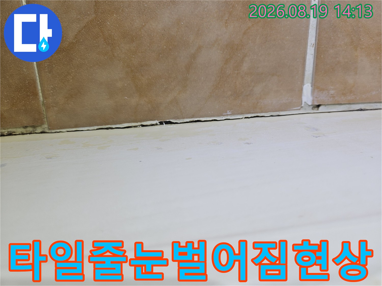백석동 현장의 타일 줄눈 균열 및 벌어짐 상태