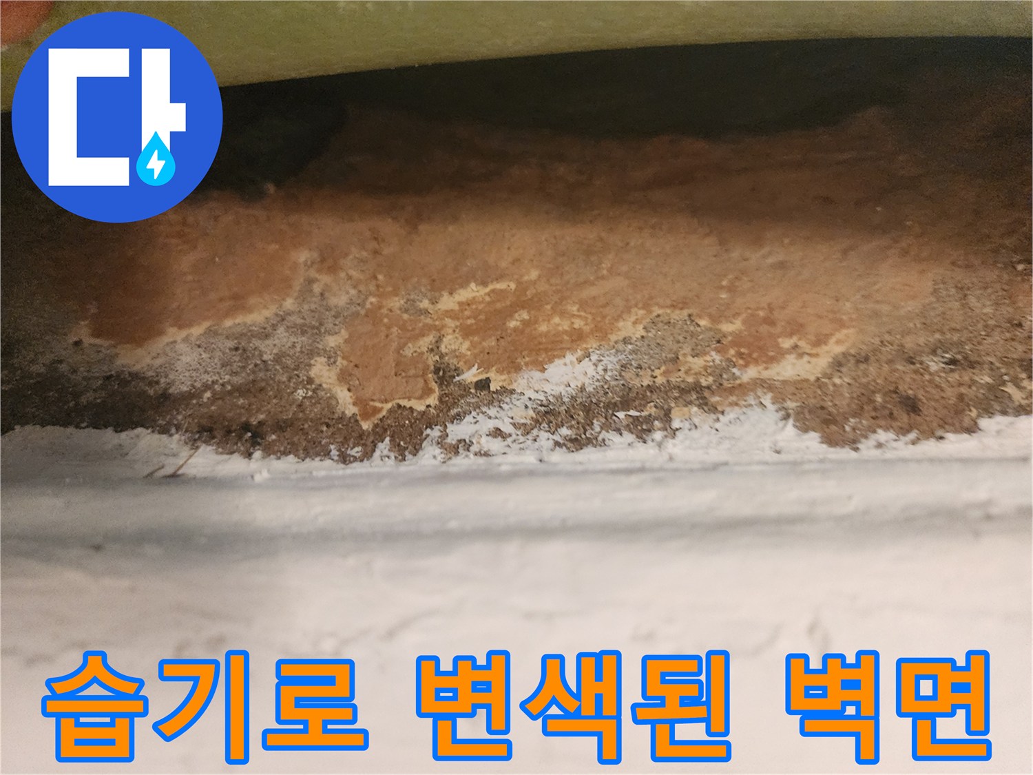 습기-침투로-인한-벽지-변색-및-훼손-부위