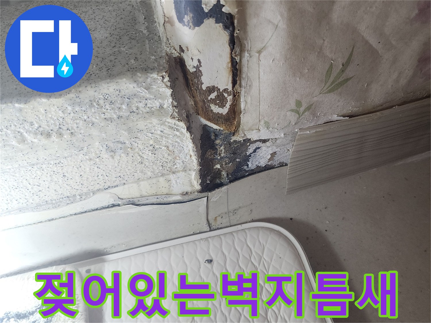 화장실 문틀 하부-벽지가 젖고 들뜬 상태