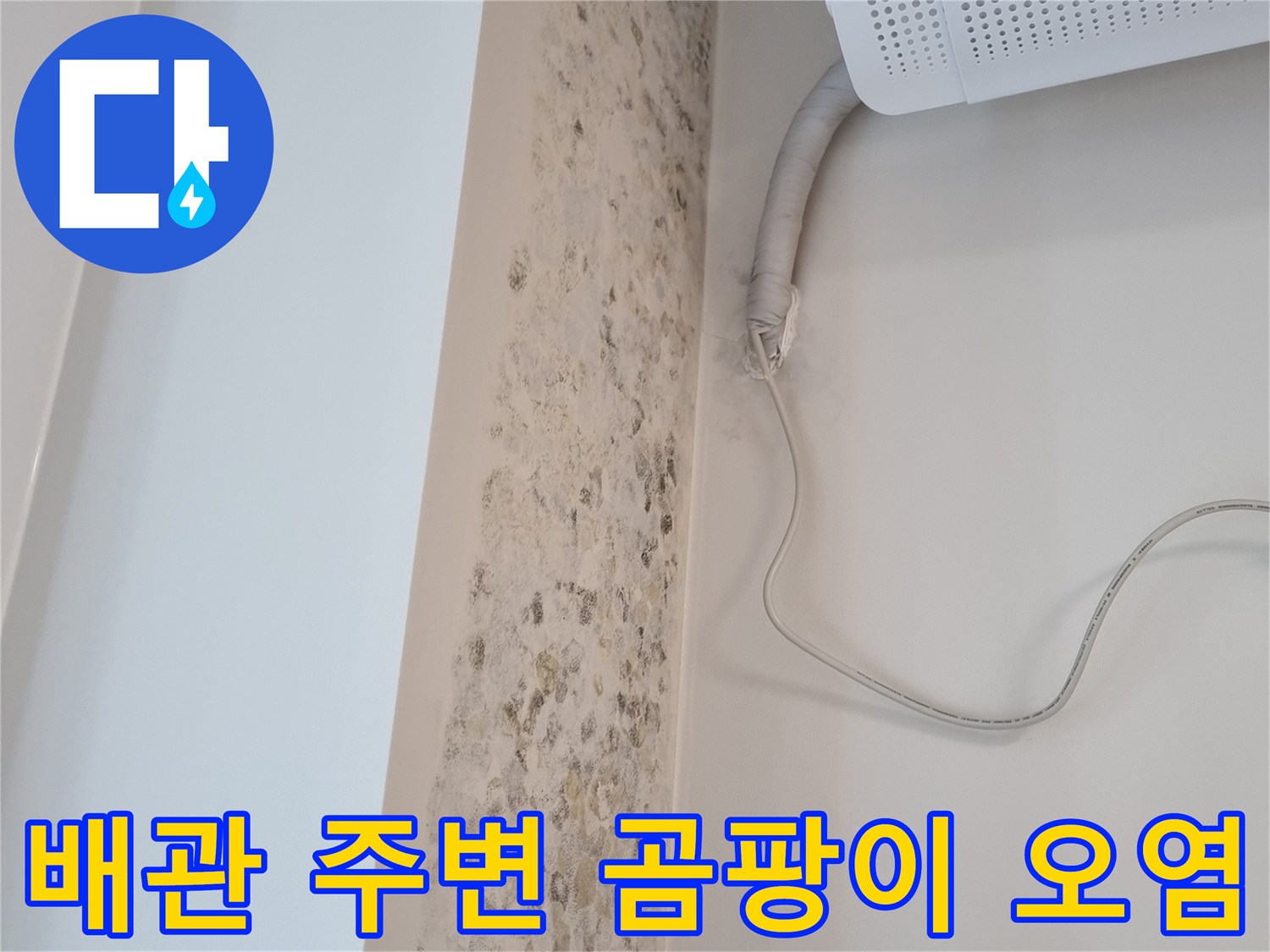 에어습기 흔적-벽면 곰팡이 발생 부위