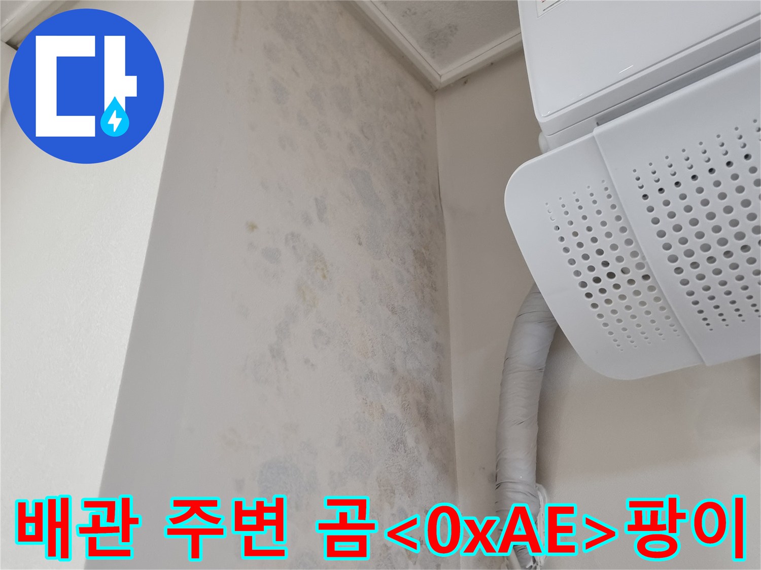 천장 배관 경로를 따라 나타난 곰팡이 자국