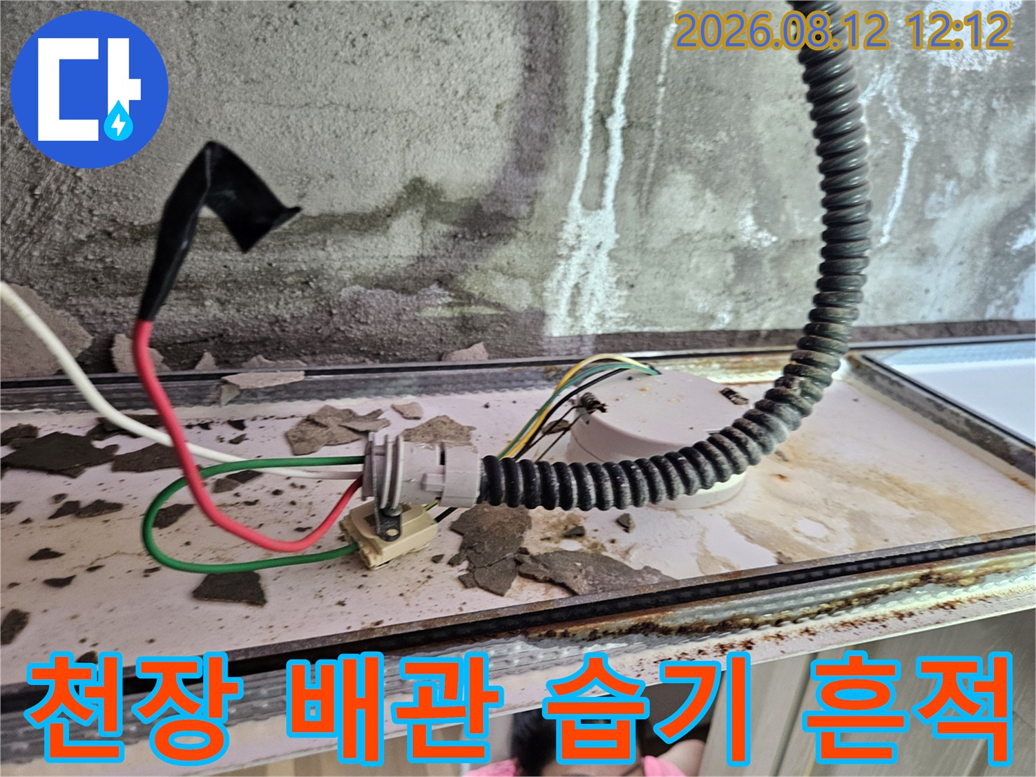 양주 옥정동 현장 천장 내부의 전선과 배관 주변 누수 자국