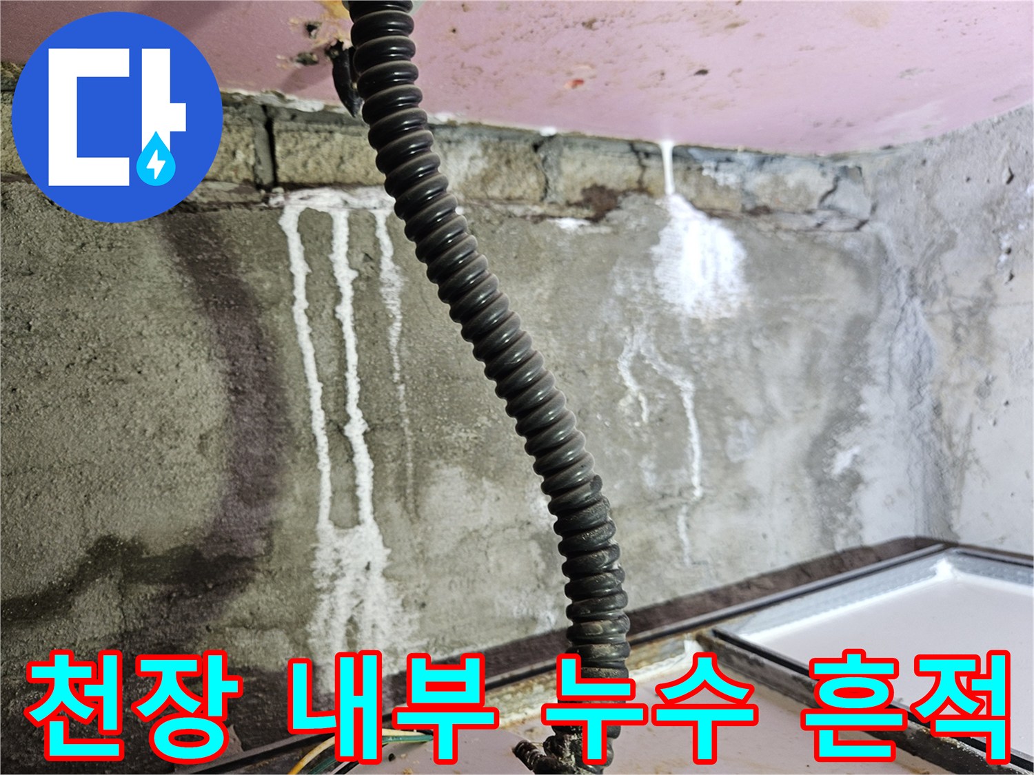 하얀 석회 자국이 남은 화장실 천장 벽면