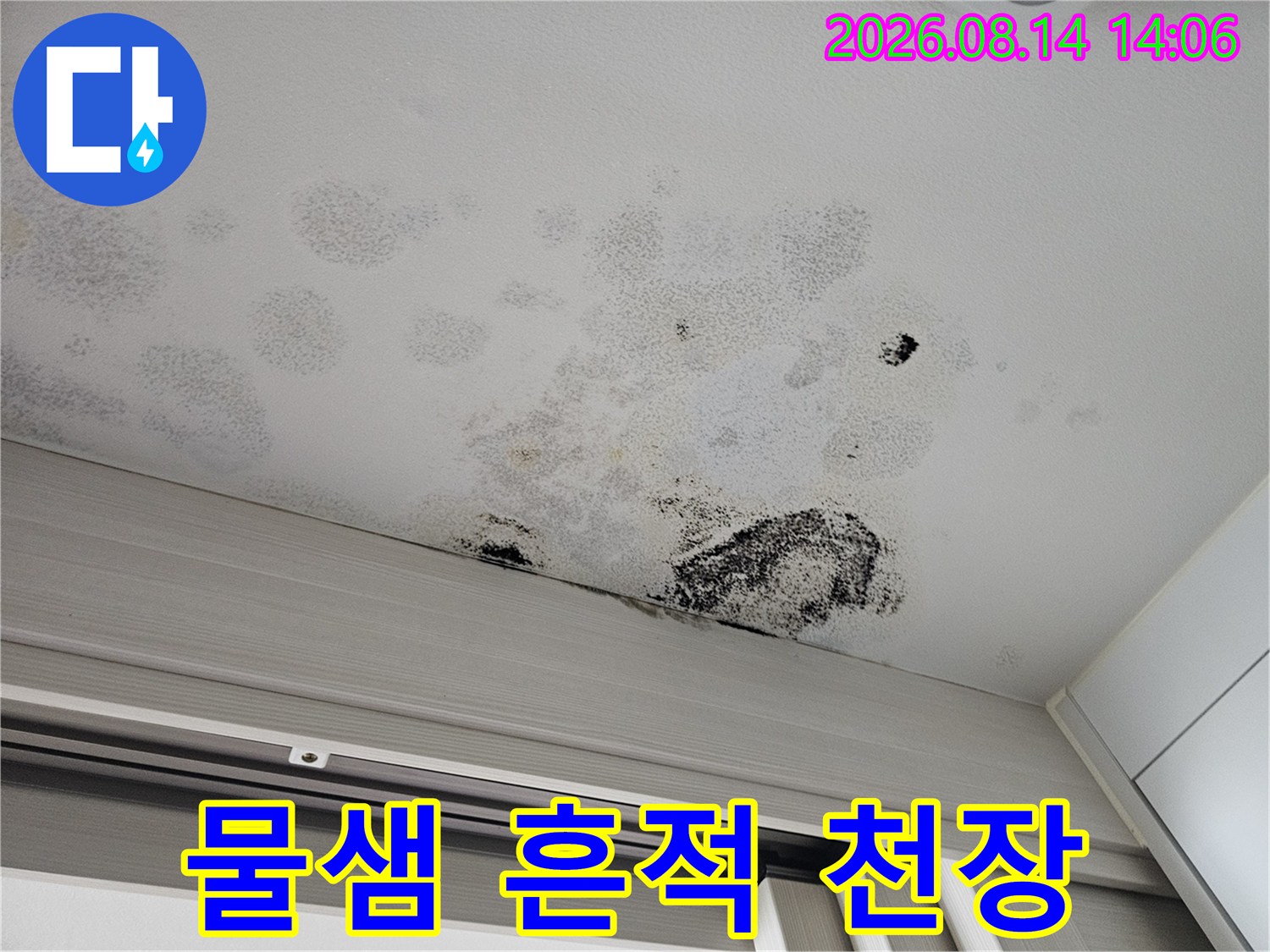 넓은 범위로 번진 천장 누수 얼룩 및 곰팡이