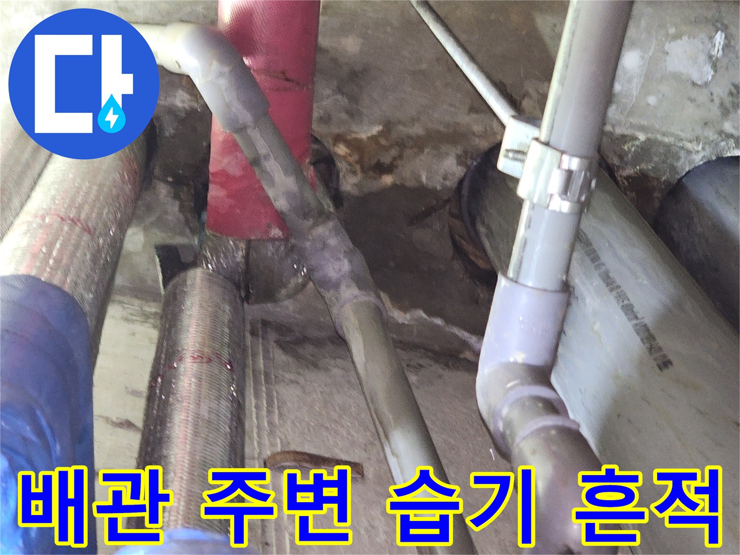 습기로 인해 변색된 배관과 주변 구조물 상태