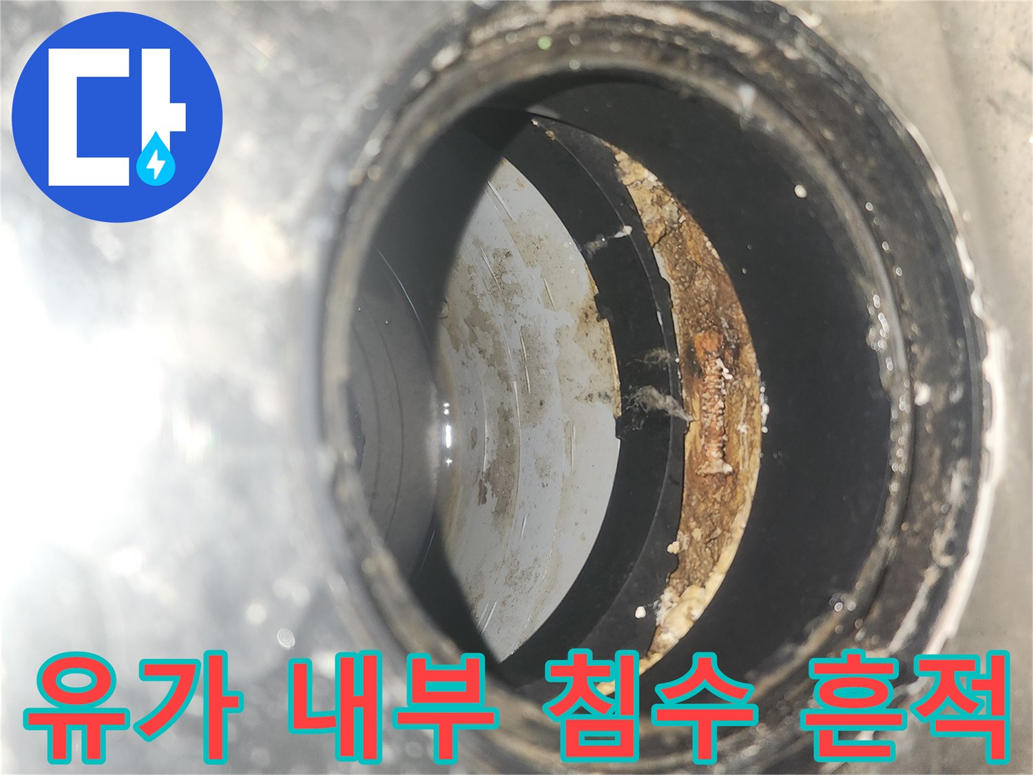 배수구-안쪽-벽면의-침수-및-오염-상태