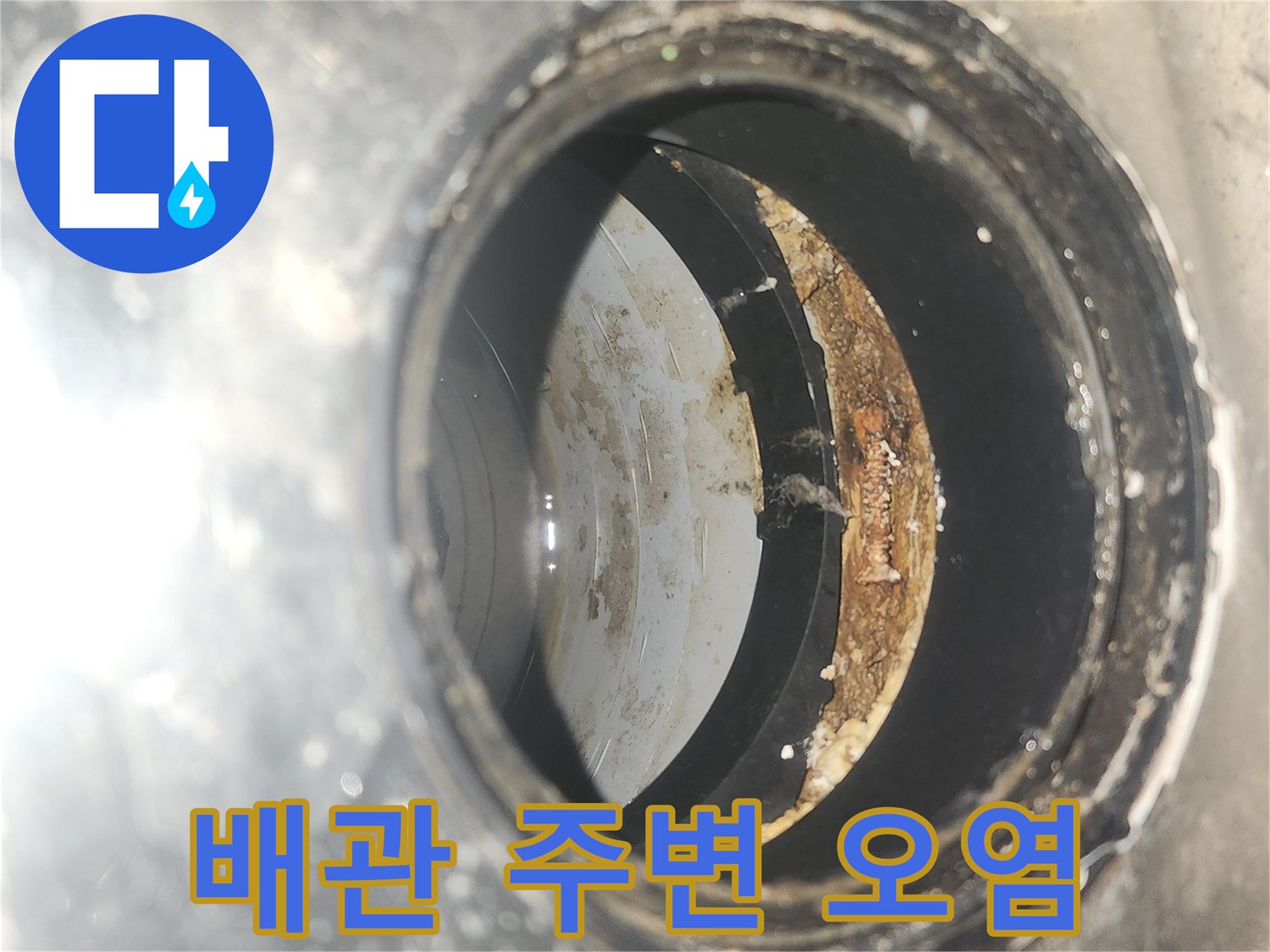 세탁실-배수구-내부의-습기와-이물질-상태