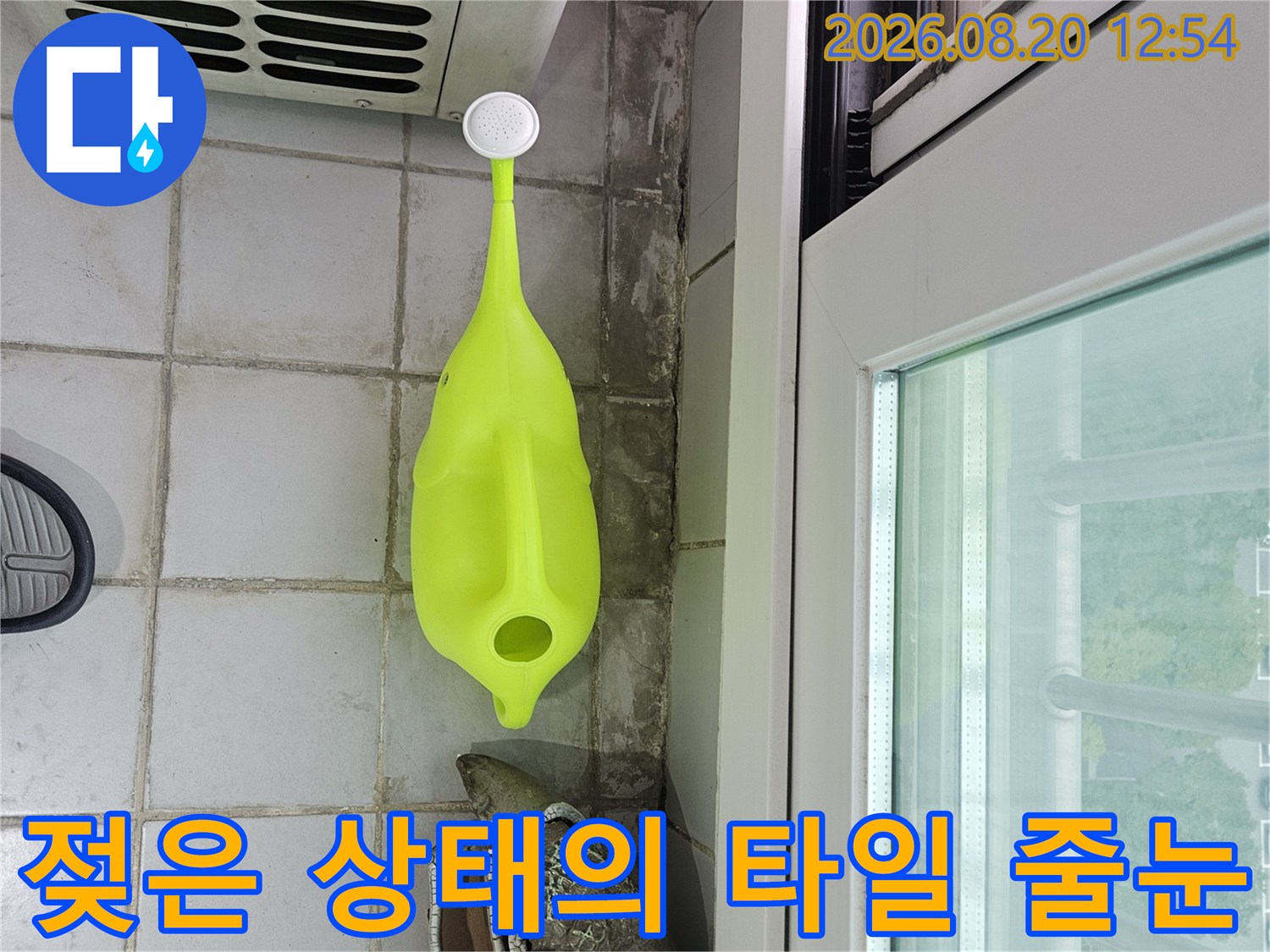 분당 정자동 베란다 우수관 주변 젖은 타일 부위