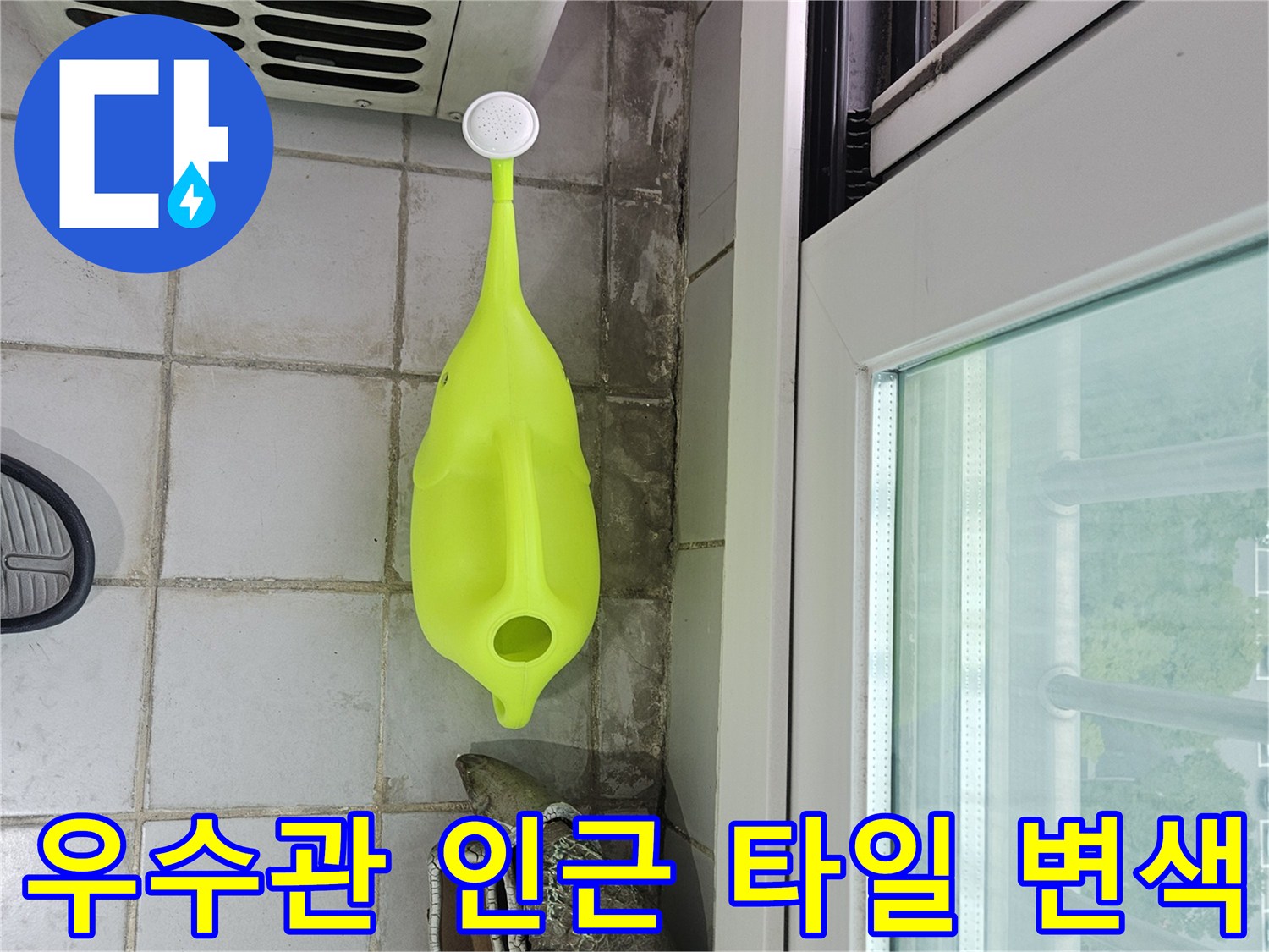 정자동 현장-타일 줄눈 사이의 젖은 흔적