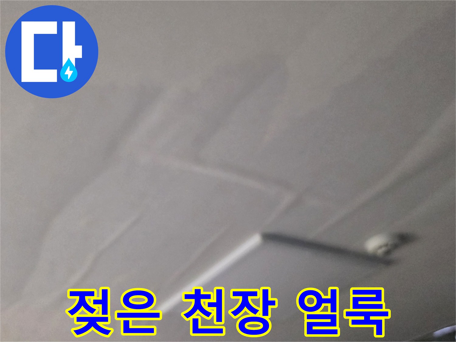 물샘으로 인해-변색된 상가주택 천장 면적