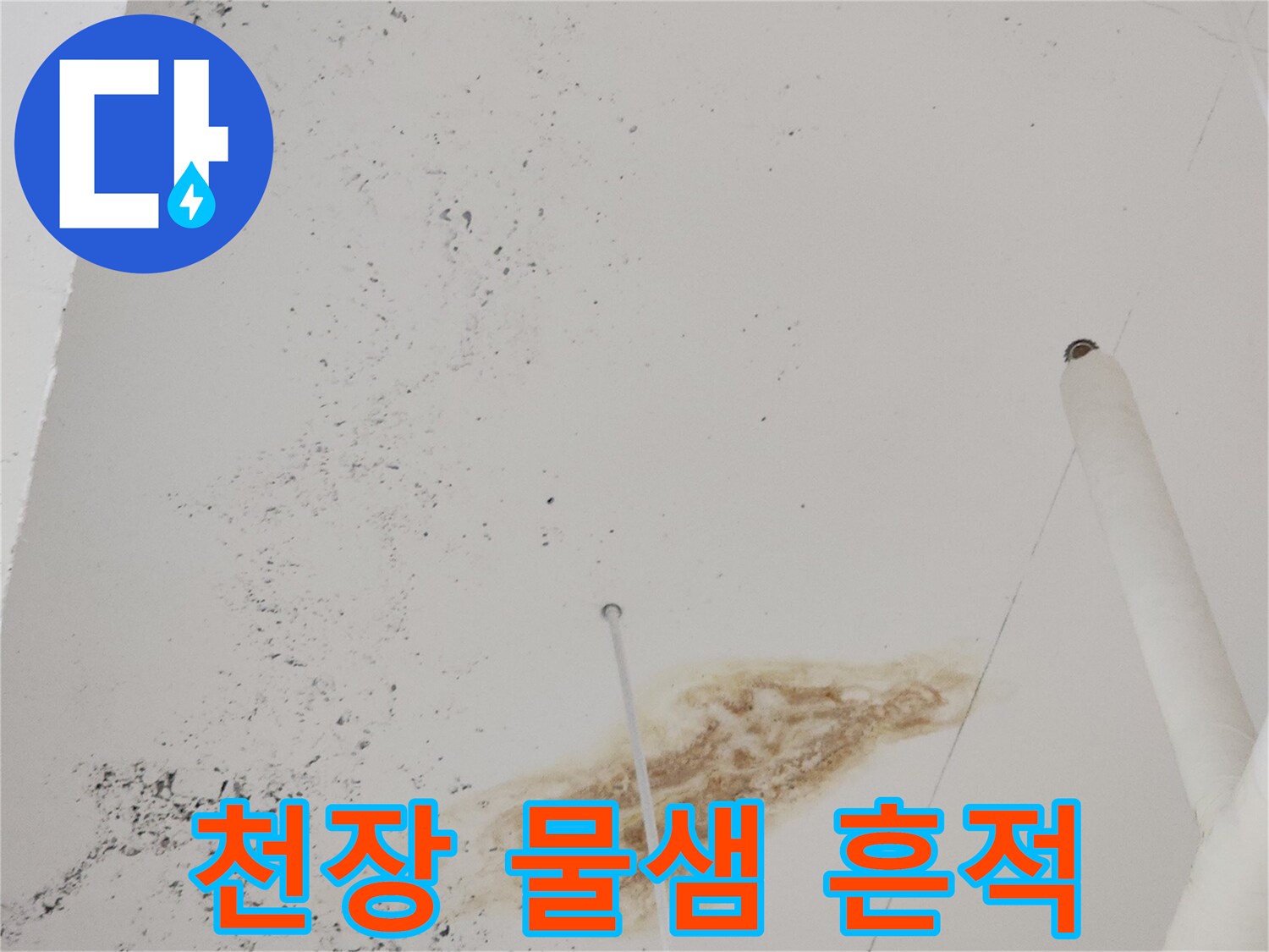 식당-아래층-천장의-갈색-누수-변색-부위