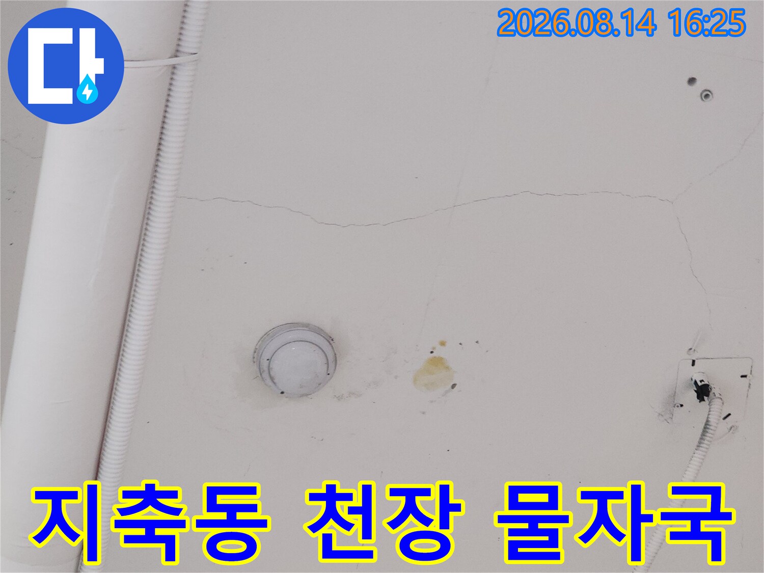 지축동 식당 아래층 천장의 물샘 흔적과 얼룩 부위