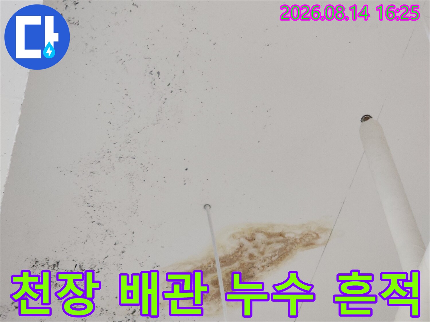 흰색 천장재에 나타난 갈색 누수 얼룩과 배관