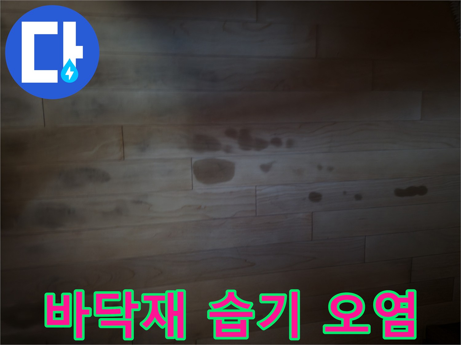 물기에_젖어_검게_변한_강화마로_표면
